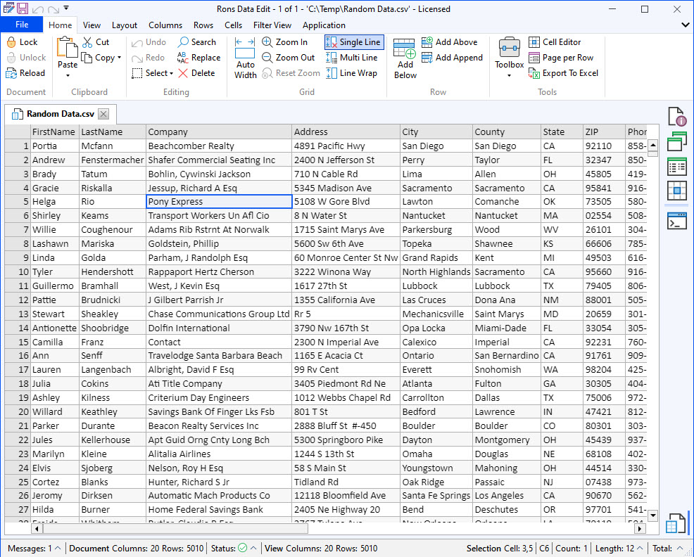 Rons Data Edit - Professional CSV Editor for Windows screenshot